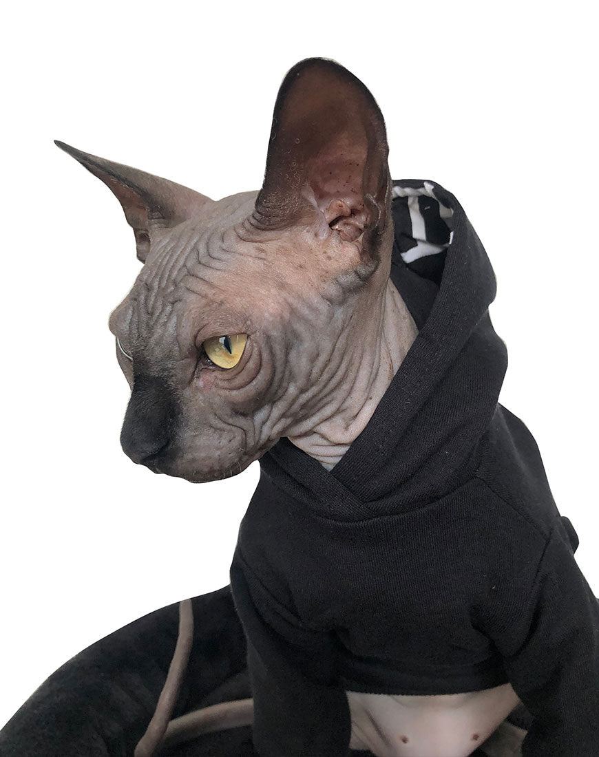 Sphynx hoodie discount